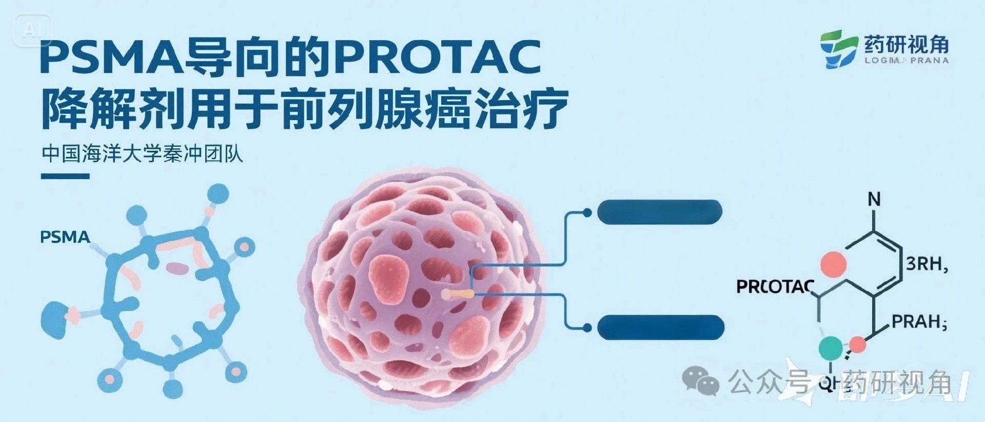【JMC】中国海洋大学秦冲团队：PSMA导向PROTAC降解剂在前列腺癌靶向治疗中的突破